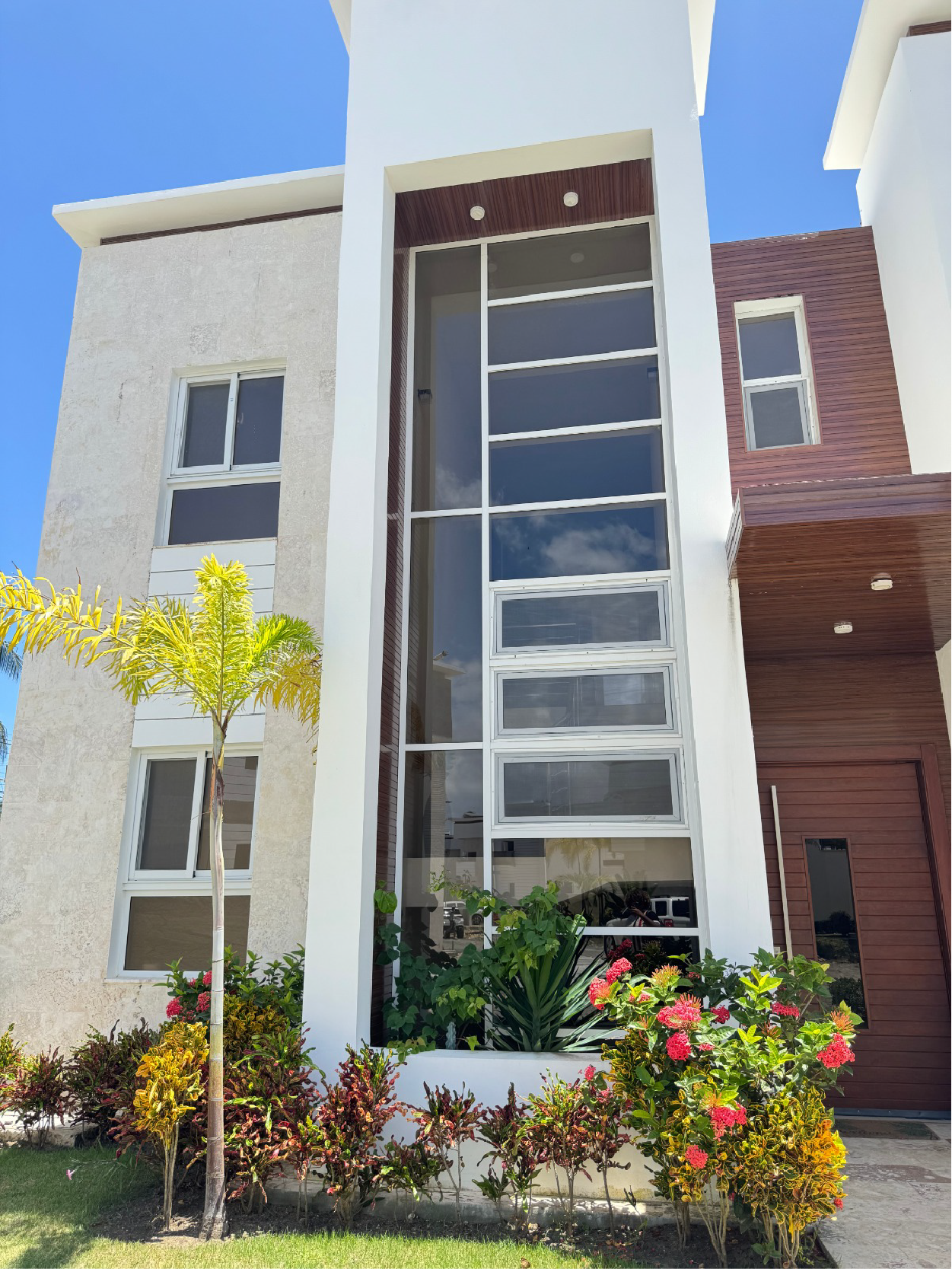 CELOSIAS image 03
